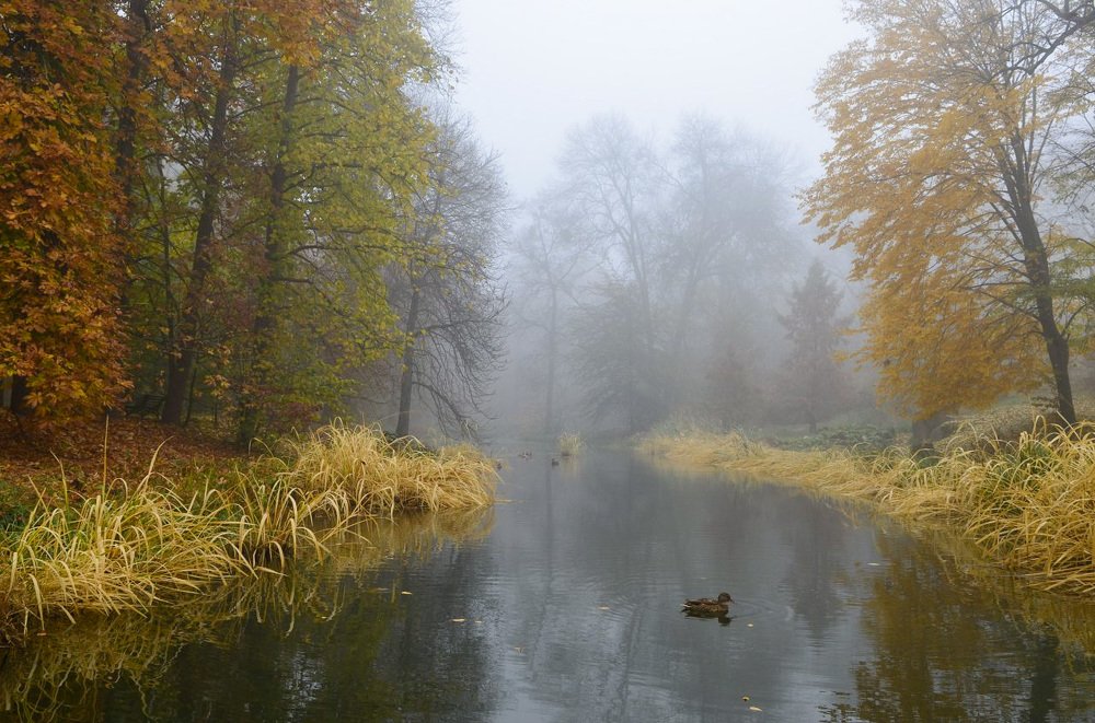 Photograph by Marina