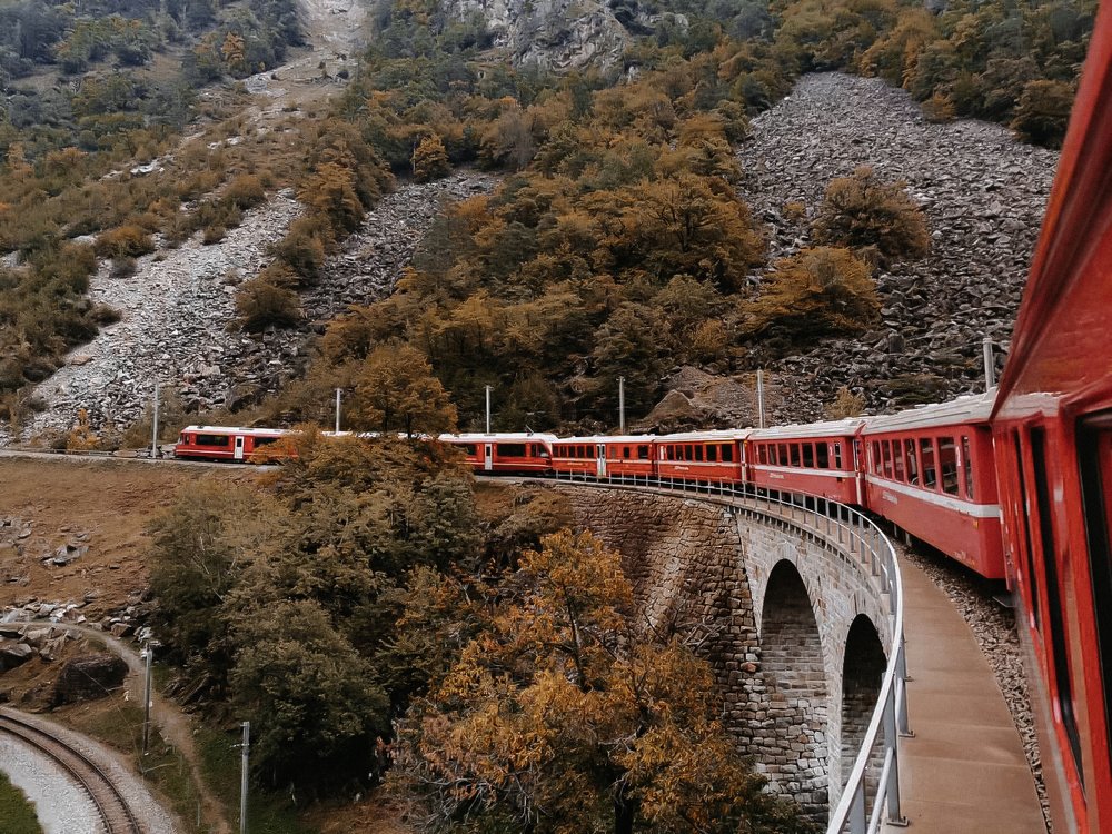 Photograph by Alexandra Yankovskaya