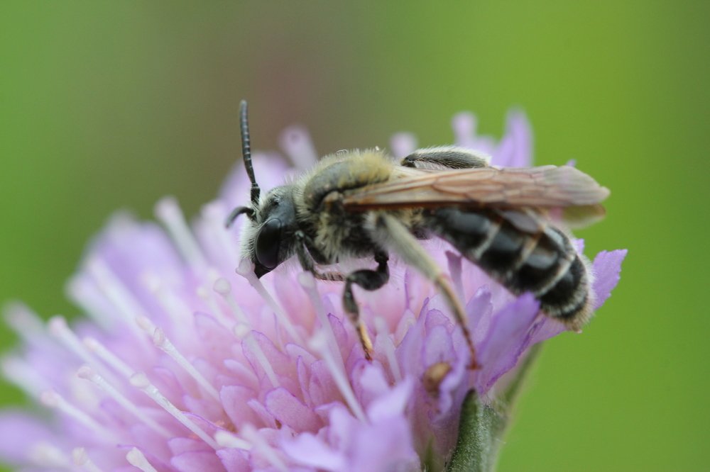 Photograph by Анна-Лаймуте Милошевич