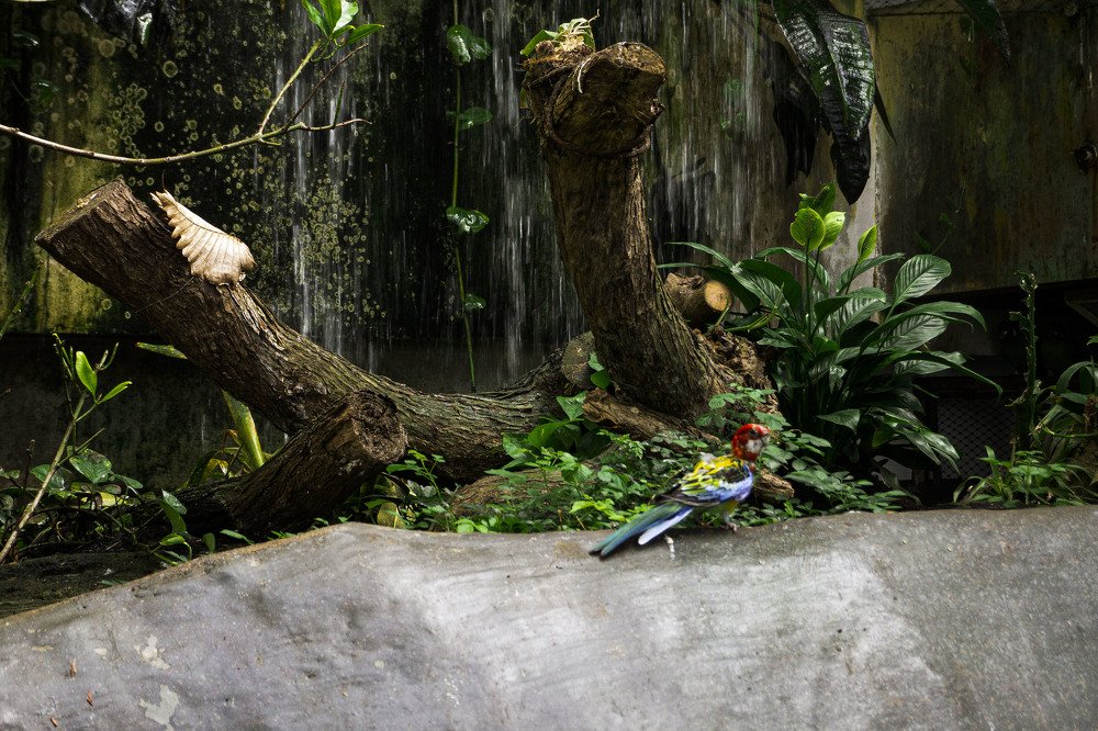 Photograph by Диана Котоева