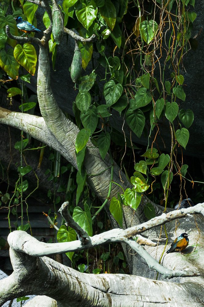 Photograph by Диана Котоева