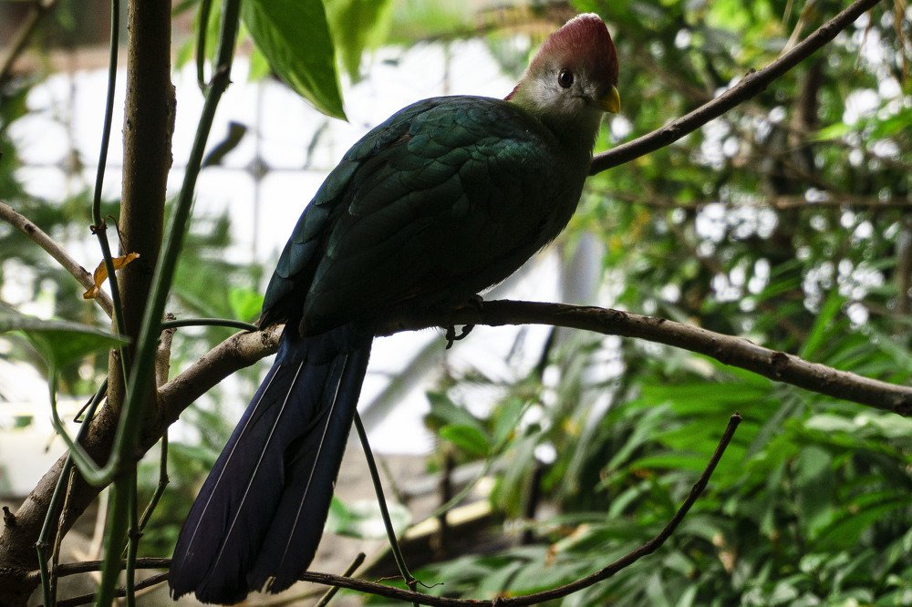 Photograph by Диана Котоева