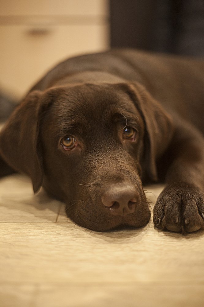 Photograph by Алена Потемкина