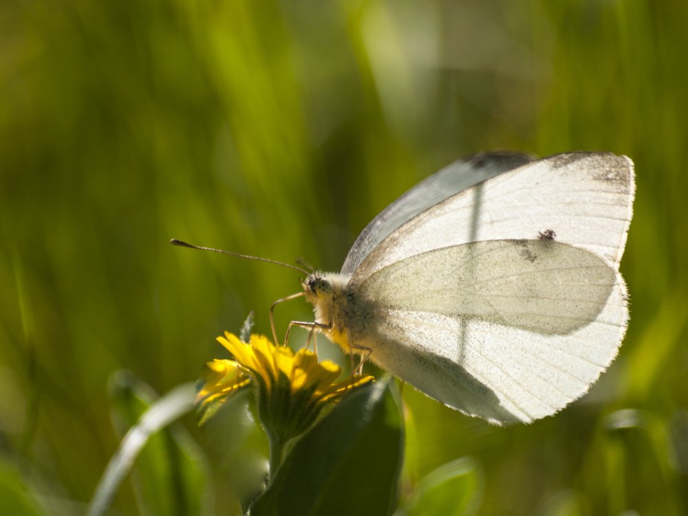 Photograph by Moulay Ahmed KASSI