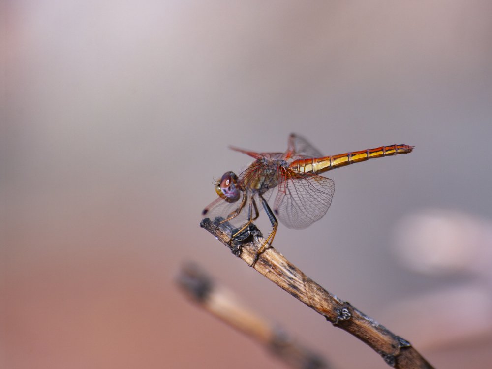 Photograph by Moulay Ahmed KASSI