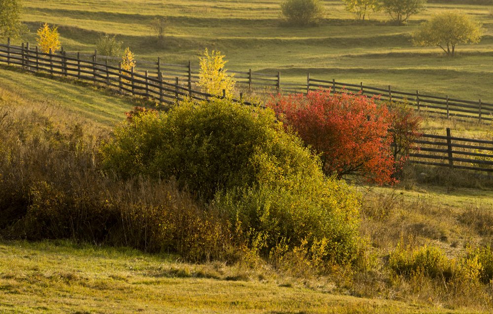 Photograph by TURCZA HUNOR