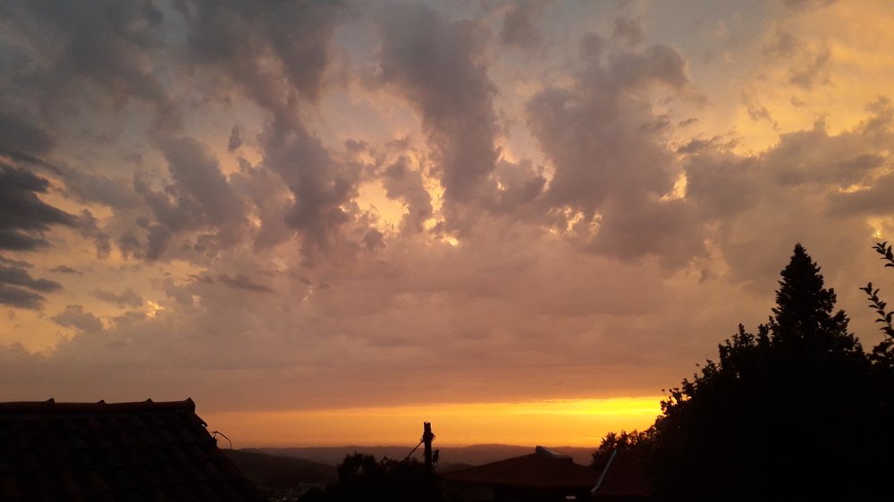 Photograph by Mónica Silva