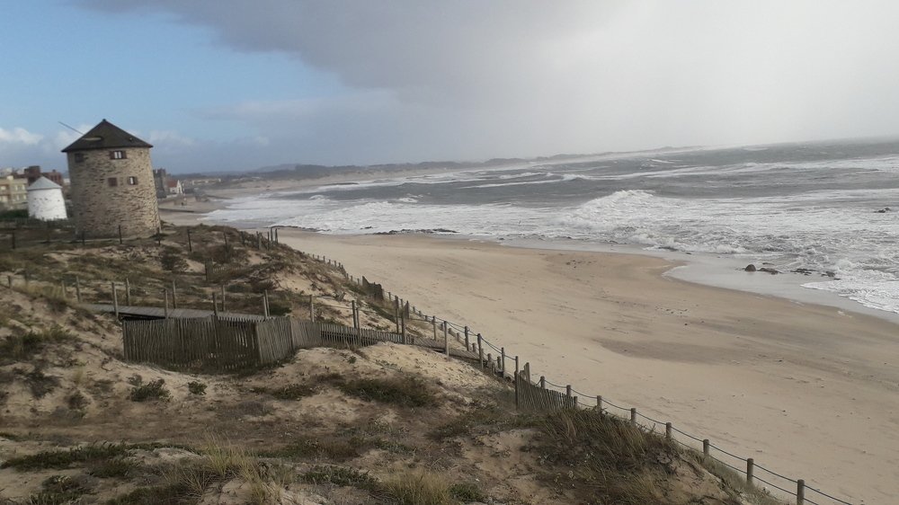 Photograph by Mónica Silva