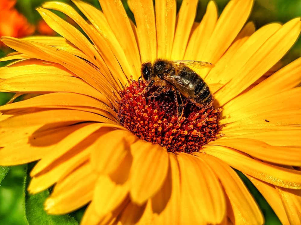 Photograph by Денис Пономарёв