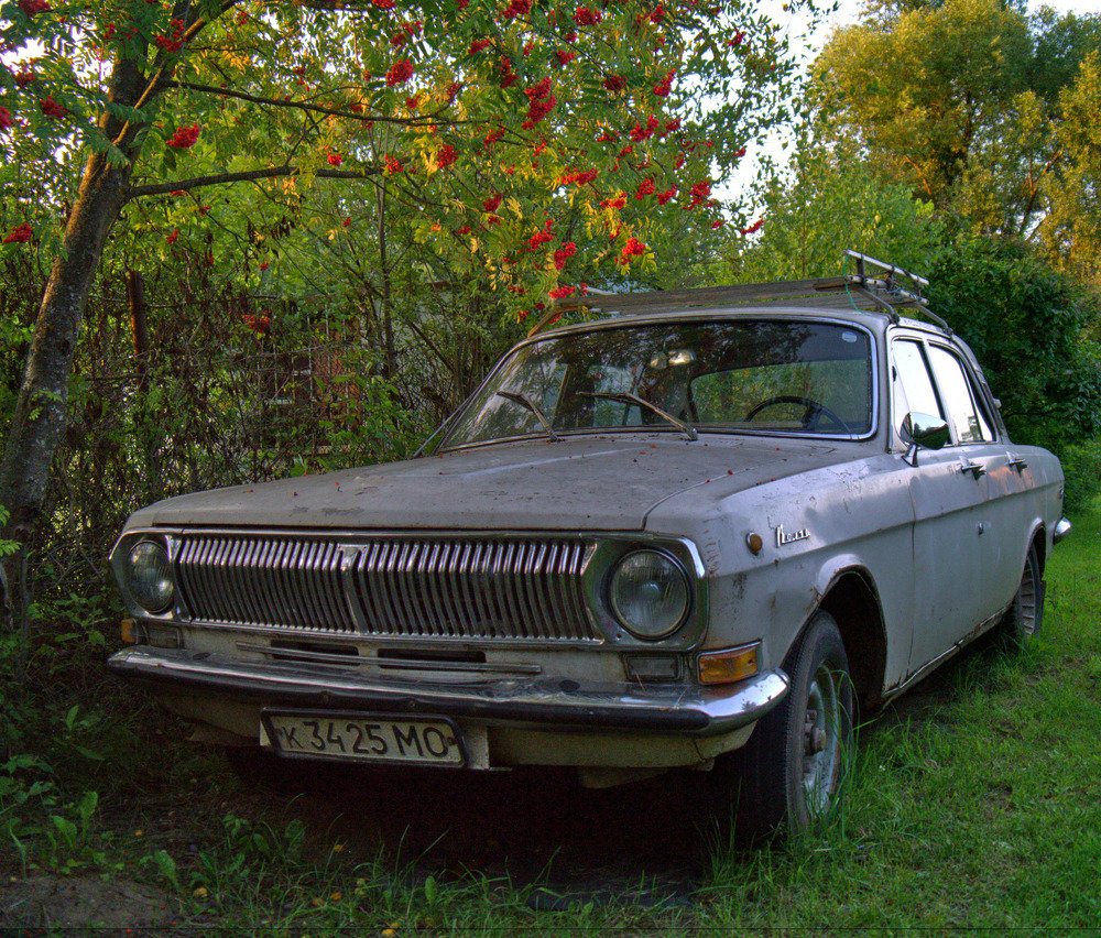 Photograph by Александр Устинов
