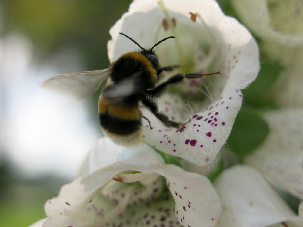 Photograph by ЭЛЬМИРА  ИСМАИЛОВА