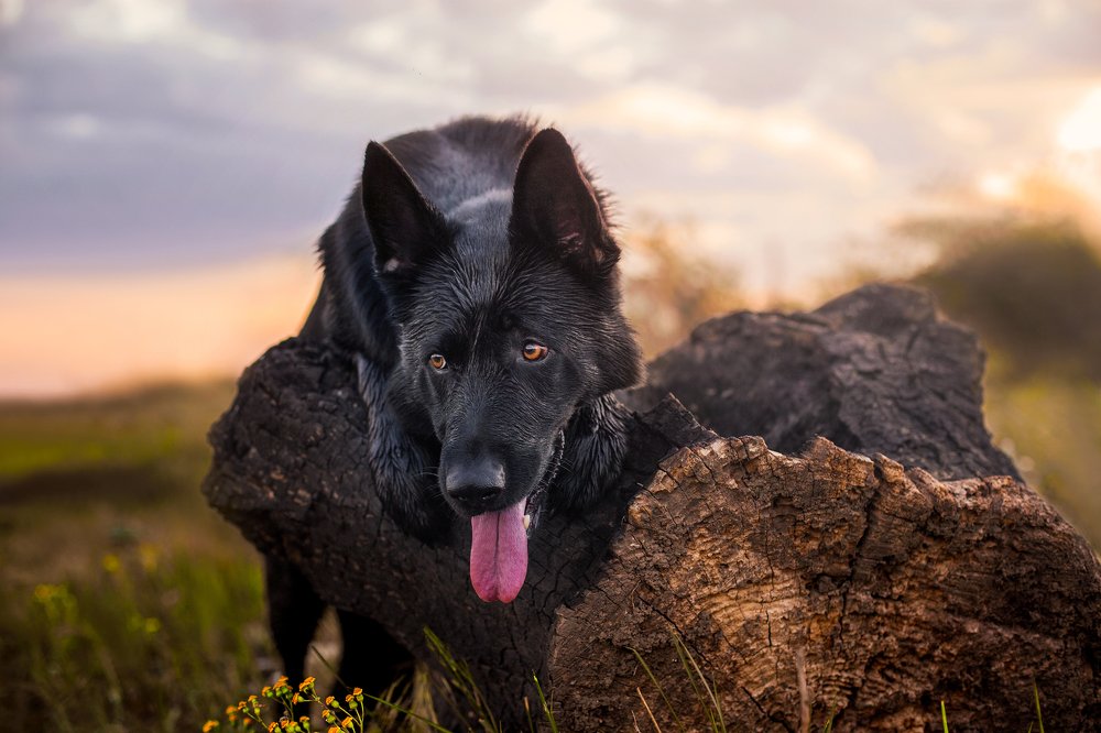 Photograph by Alona Landsman