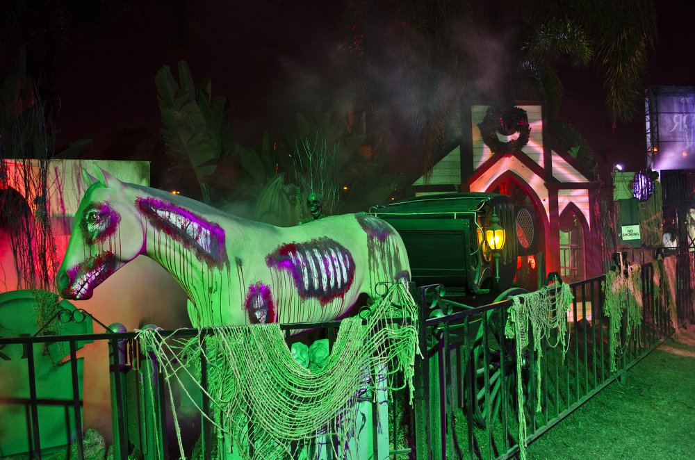 Photograph by Victoria Krasyuk