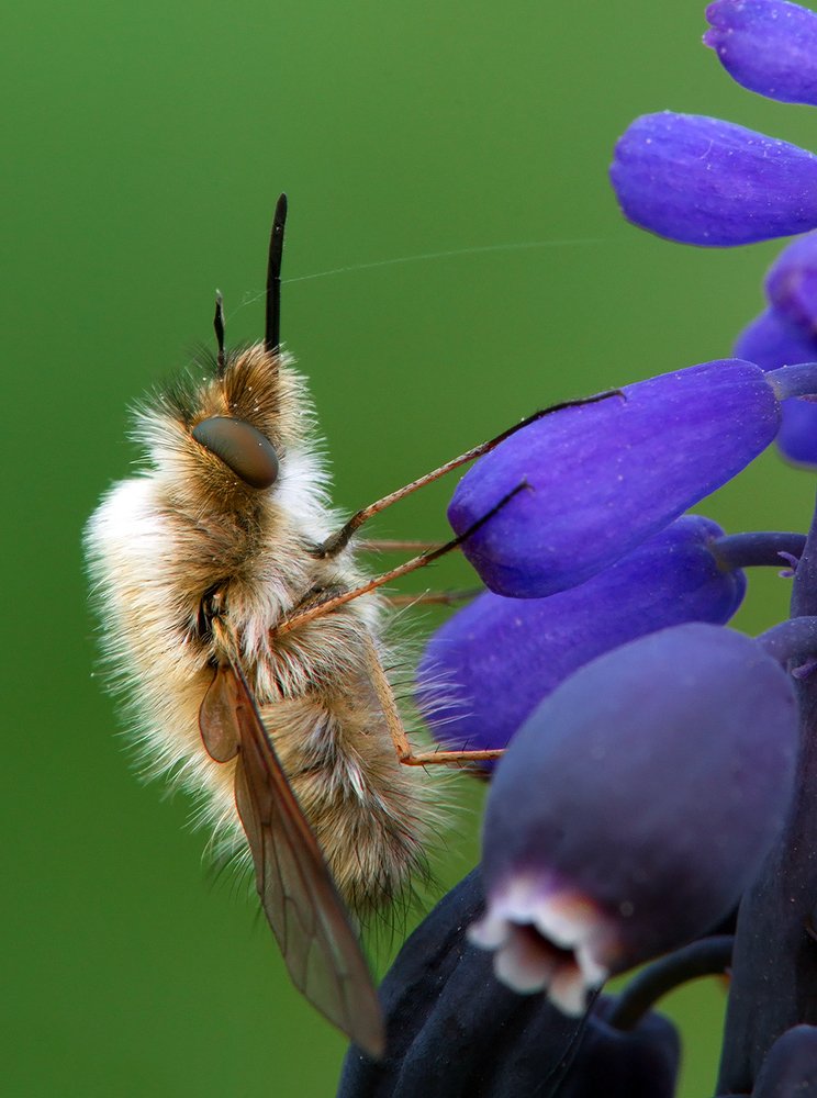 Photograph by Aliakbar Khandan