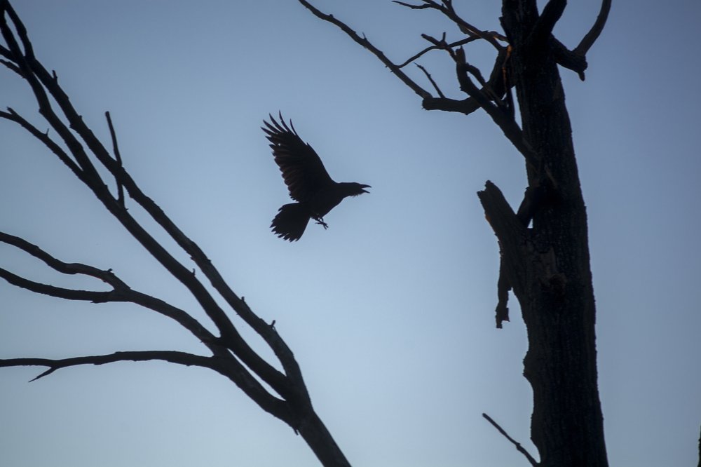 Photograph by Гульназ Загидуллина