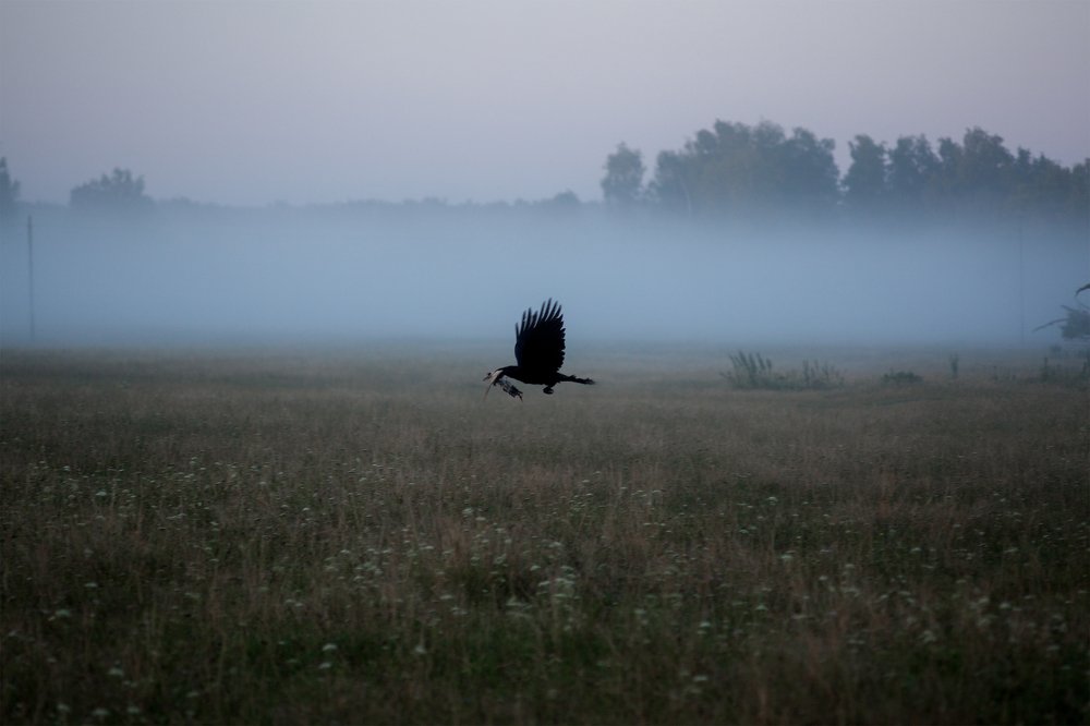 Photograph by Гульназ Загидуллина