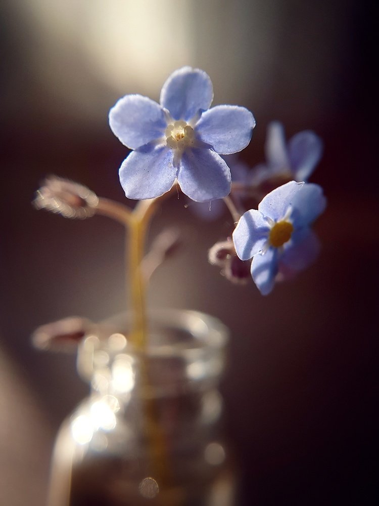 Photograph by Татьяна Пименкова