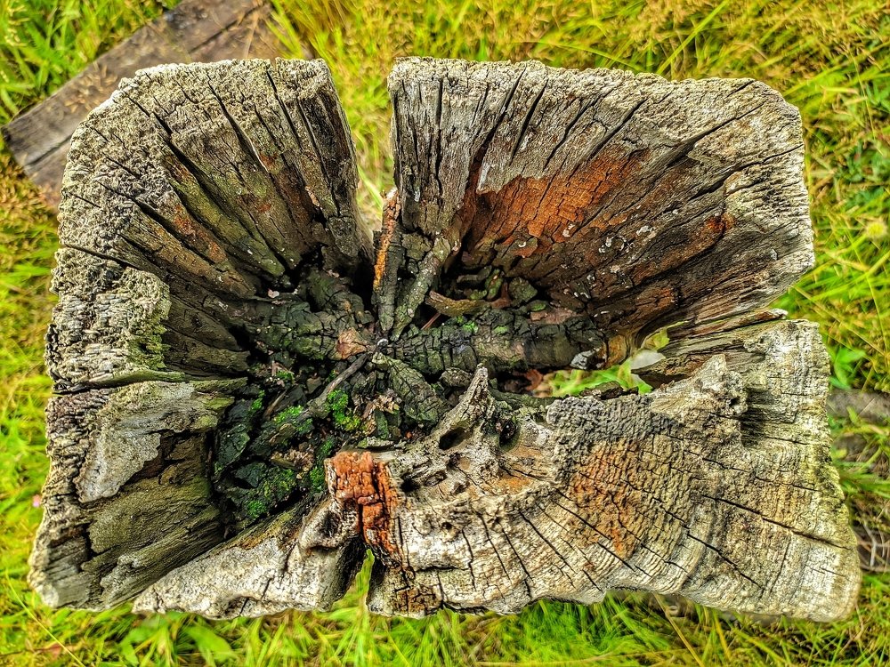 Photograph by Денис Пономарёв