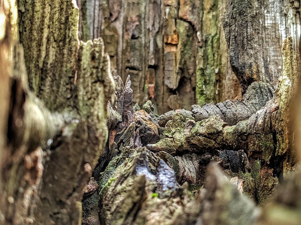 Photograph by Денис Пономарёв