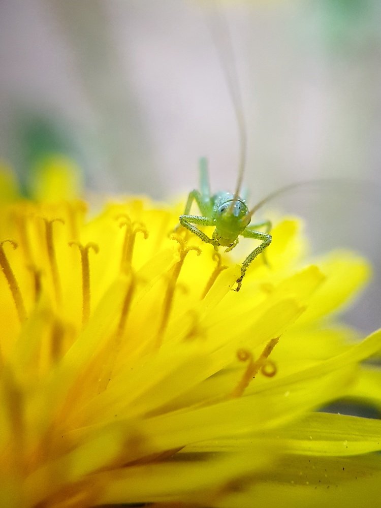 Photograph by Татьяна Пименкова
