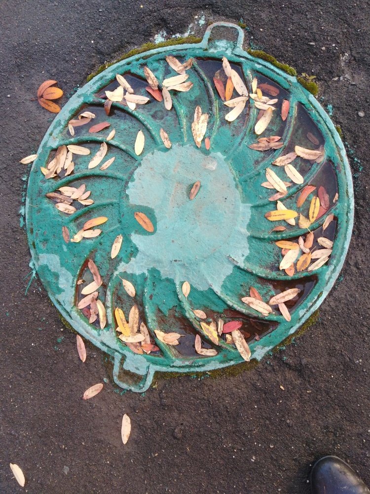 Photograph by Татьяна Ситникова