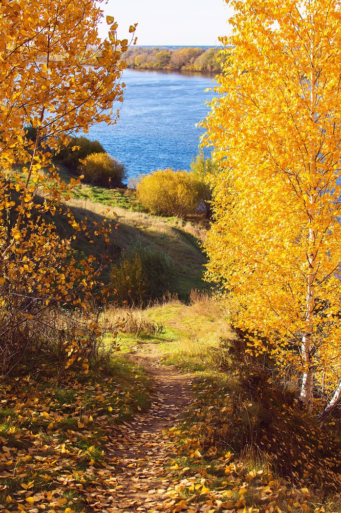 Photograph by Николай Сигаев