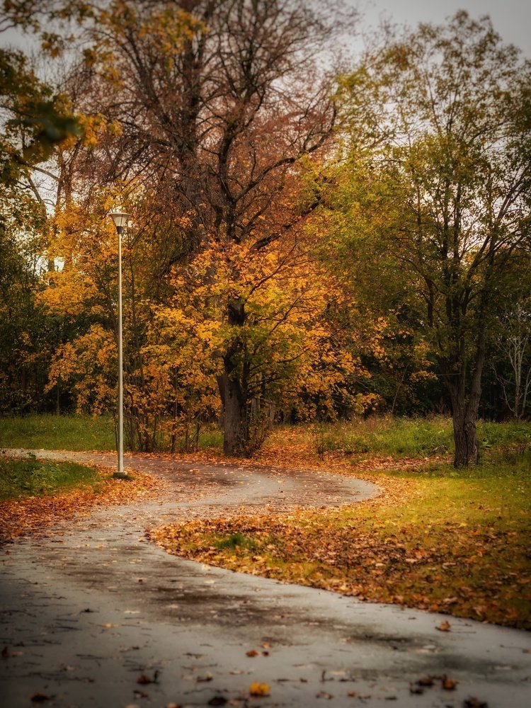 Photograph by Ольга Линк