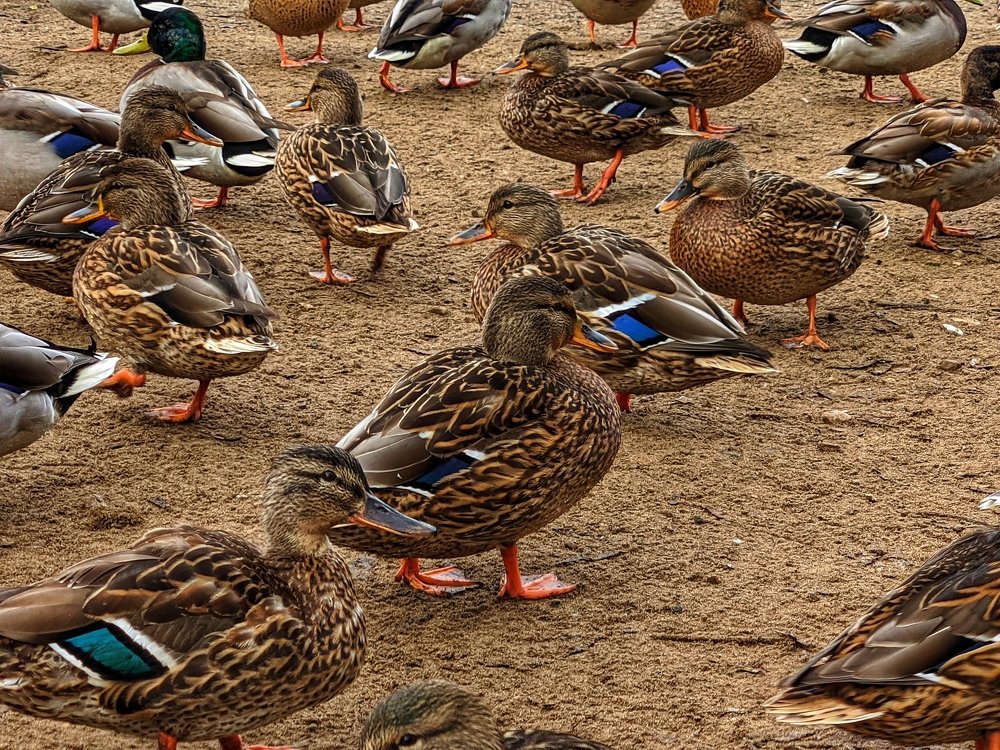 Photograph by Денис Пономарёв