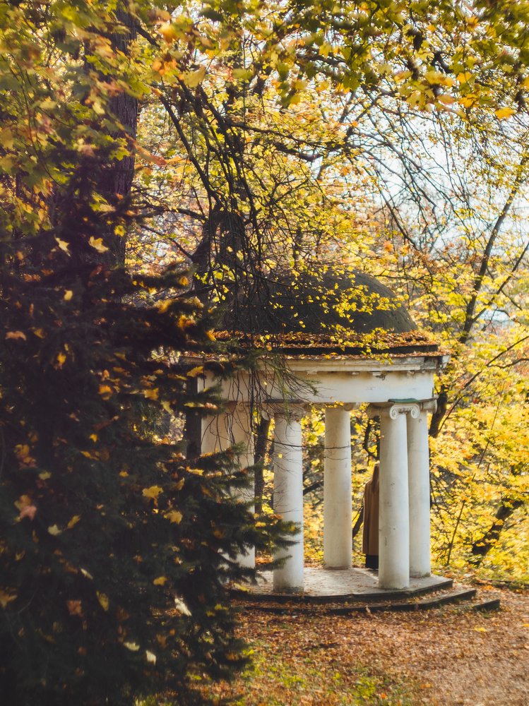 Photograph by Александр Устинов