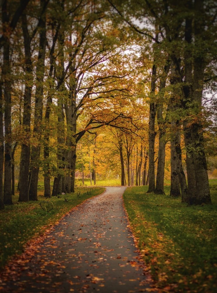 Photograph by Ольга Линк