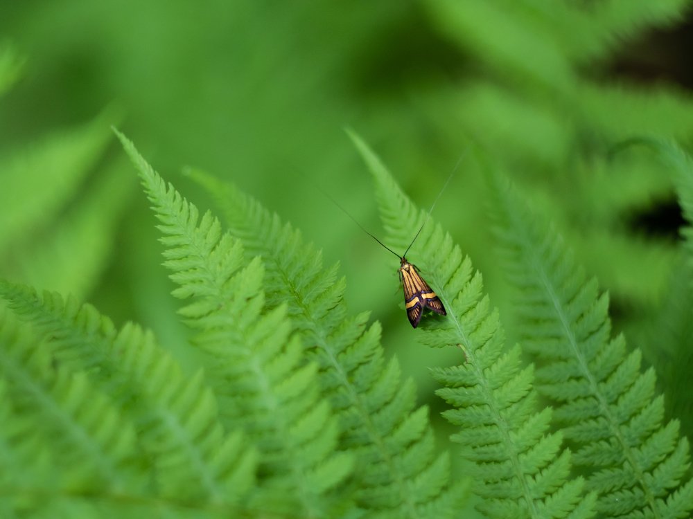 Photograph by Александр Устинов