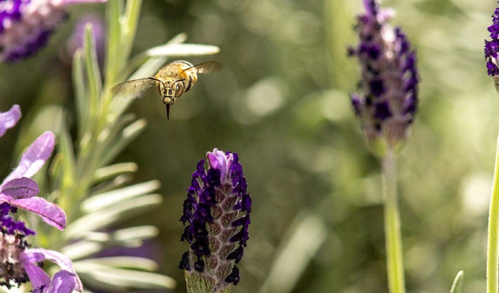 Photograph by Ken Stavrou