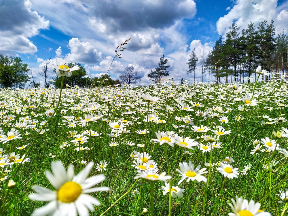 Photograph by Дина Горбачёва