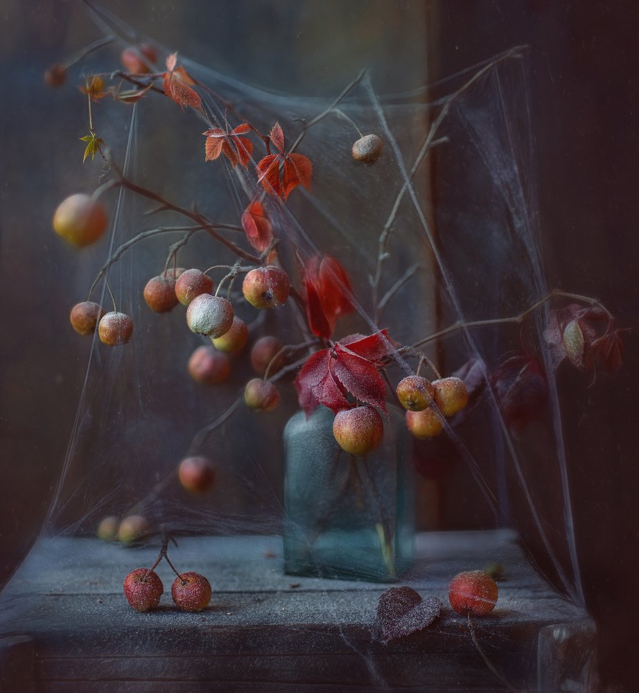 Photograph by Svoboda Andreeva