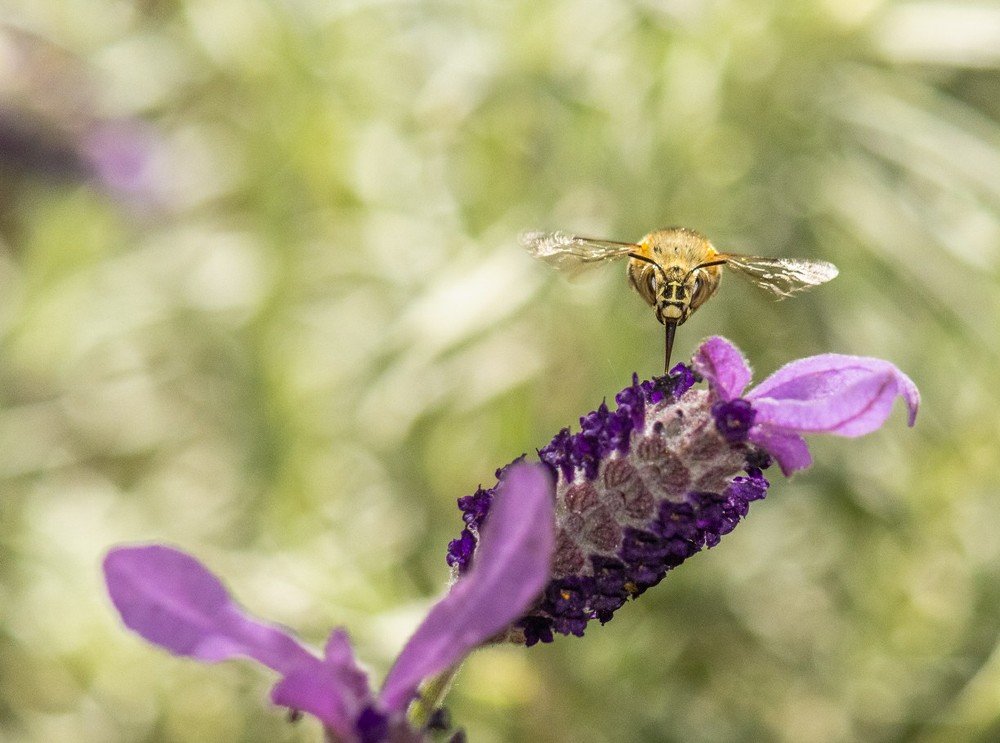 Photograph by Ken Stavrou