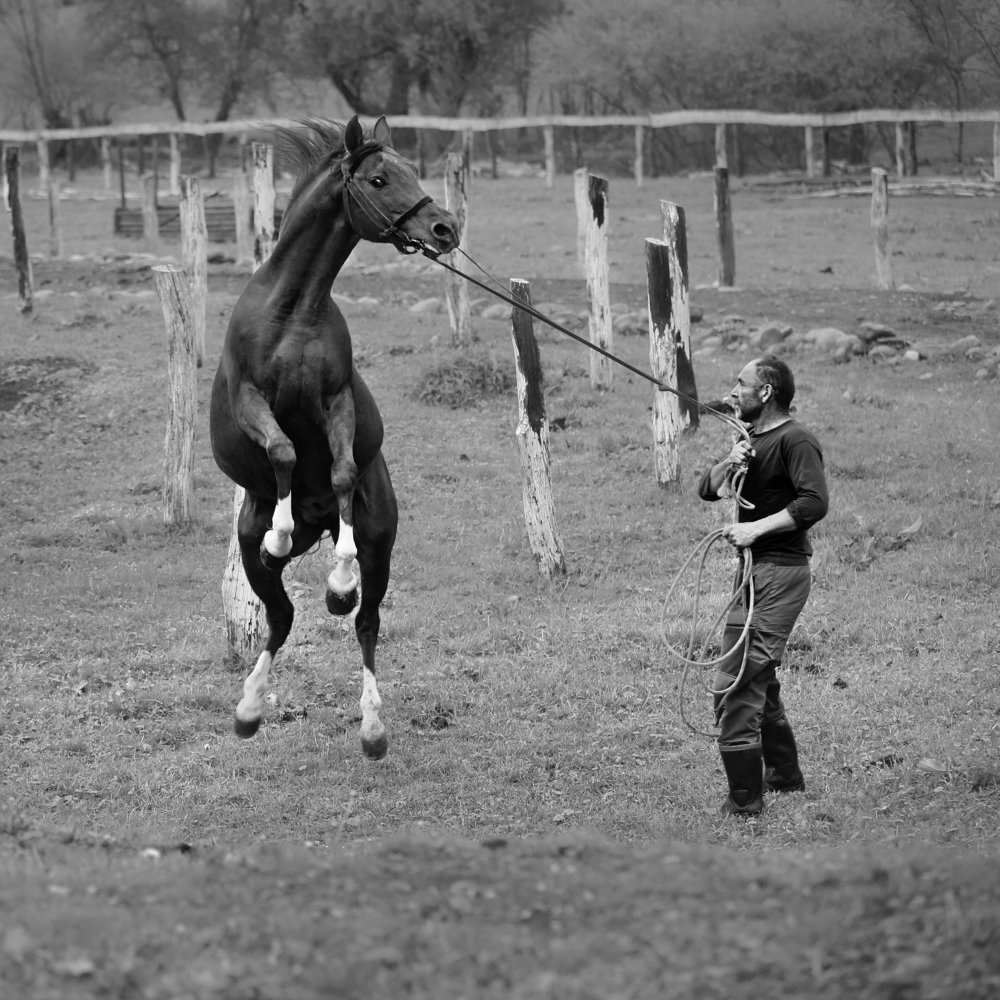 Photograph by Яна Орлова