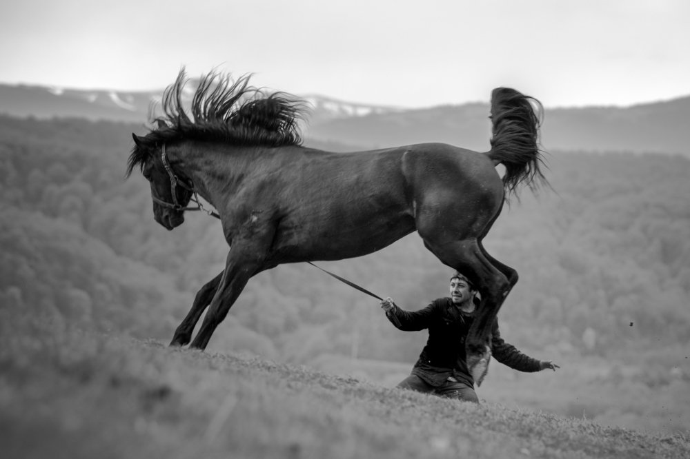 Photograph by Яна Орлова