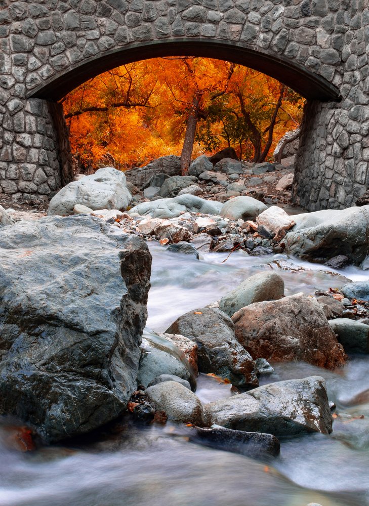 Photograph by Farshad Yazdankhah