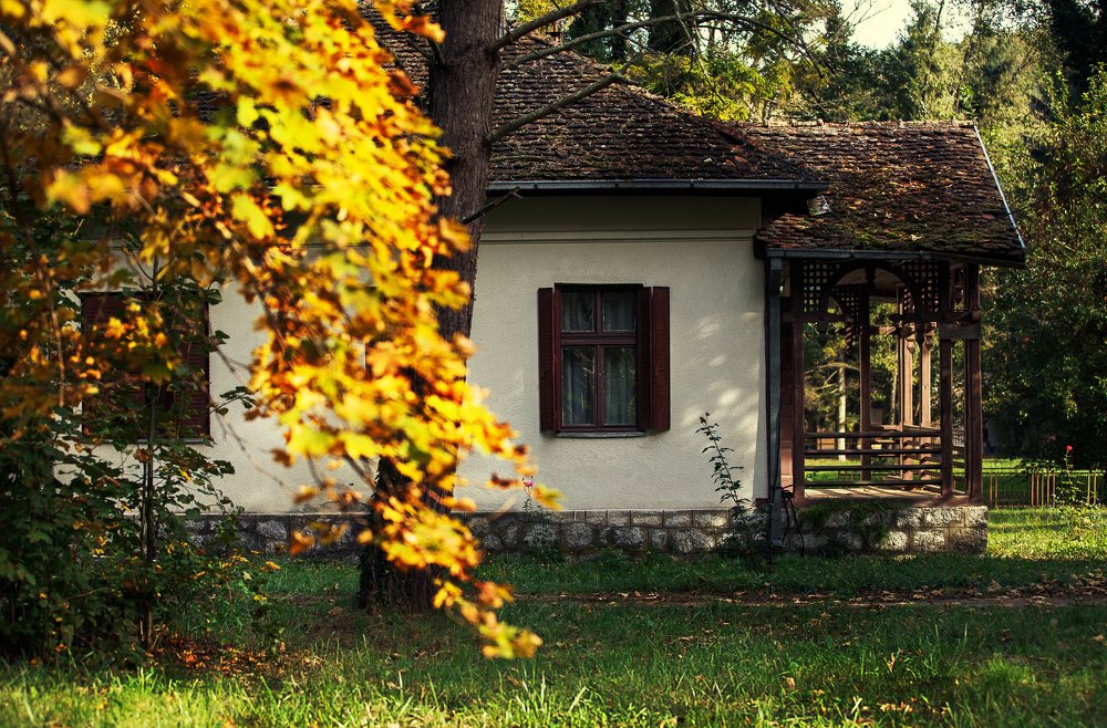 Photograph by Alina Gurfinkel