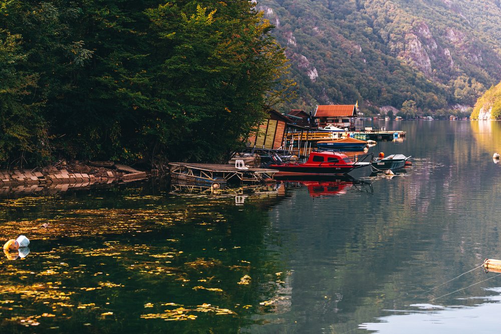 Photograph by Alina Gurfinkel