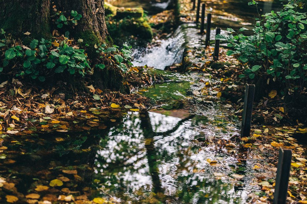 Photograph by Alina Gurfinkel