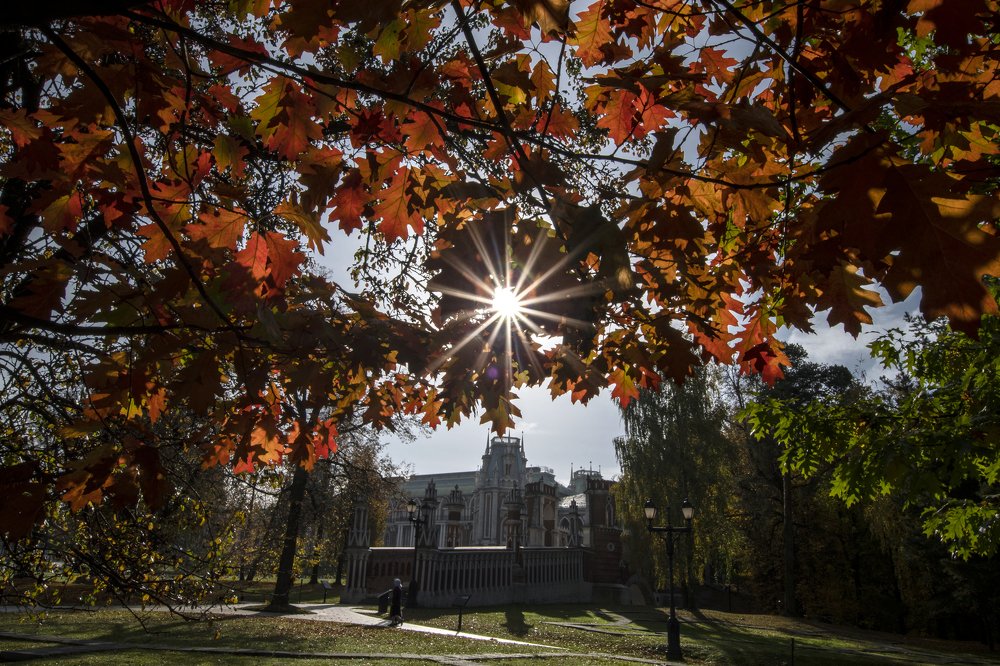 Photograph by Yuliya Ilina