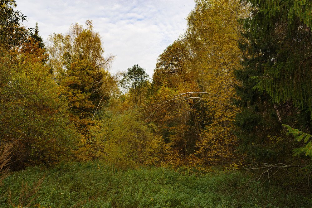 Photograph by Владимир Фирсов