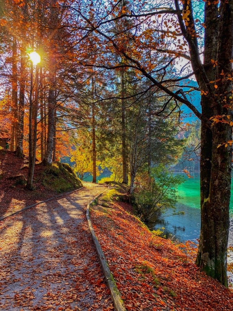 Photograph by Giulia Angelica Vicenzino