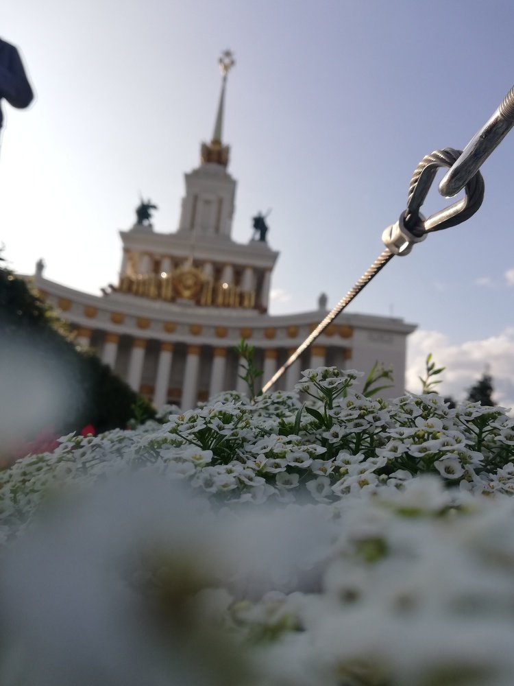 Photograph by Yuliya Ilina