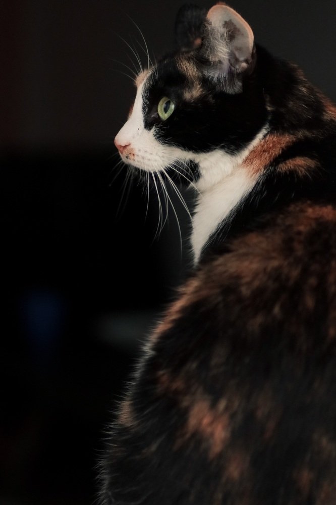 Photograph by Марина Моисеева