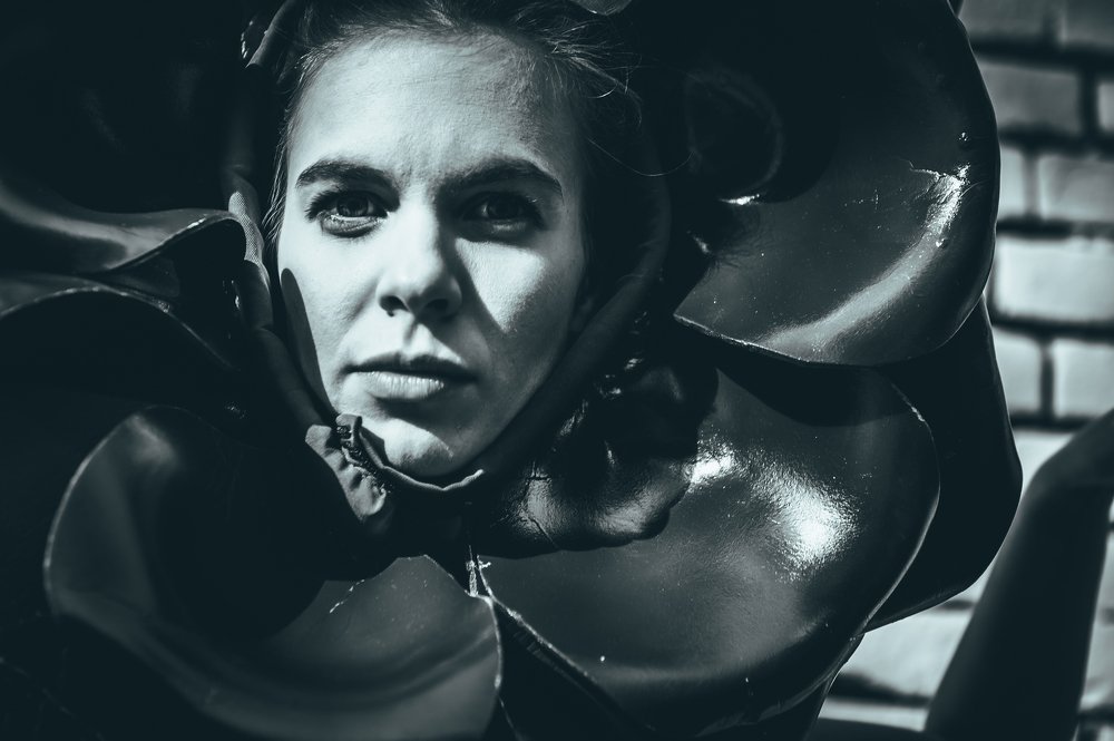 wild flowers of the city