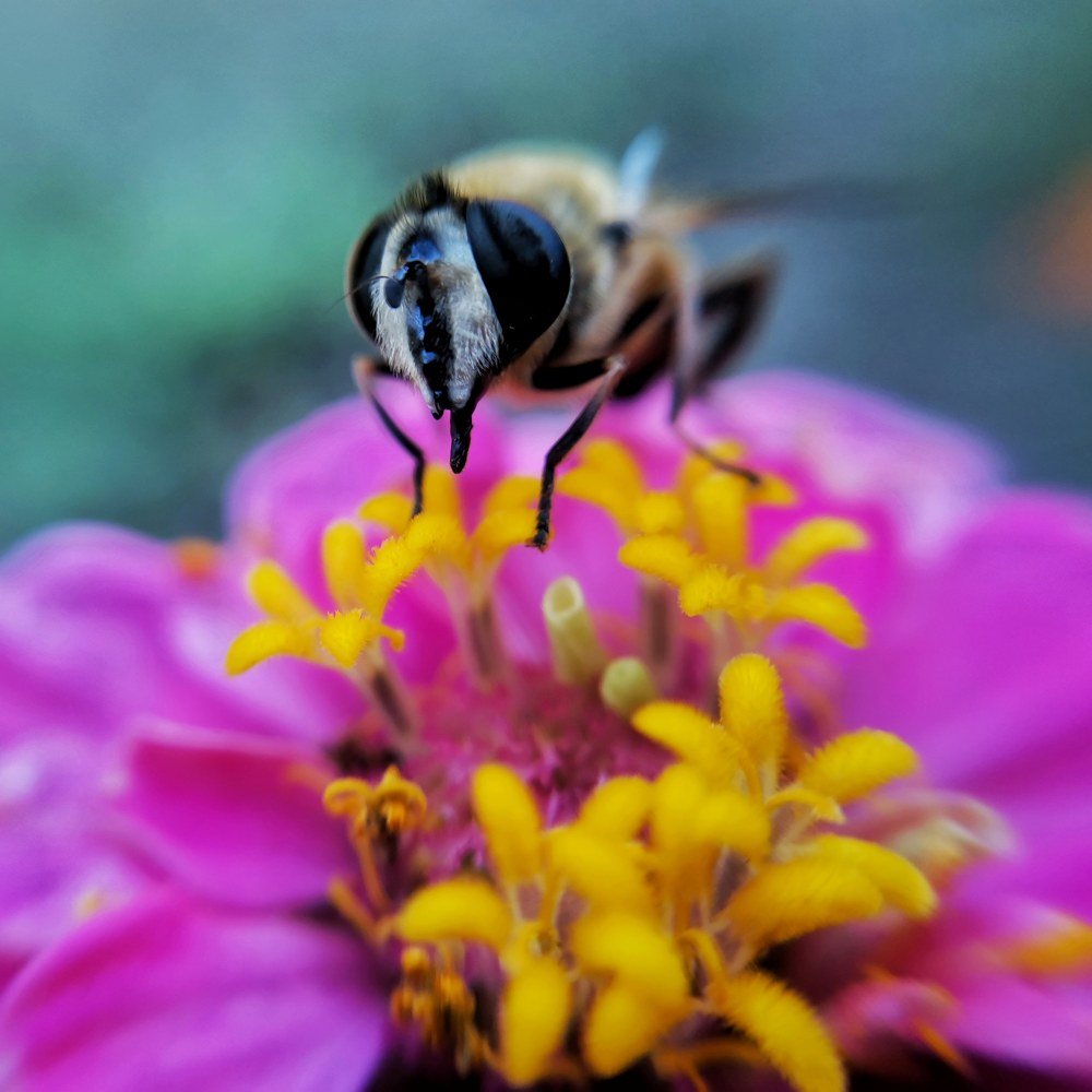 Photograph by Оксана Маракушина