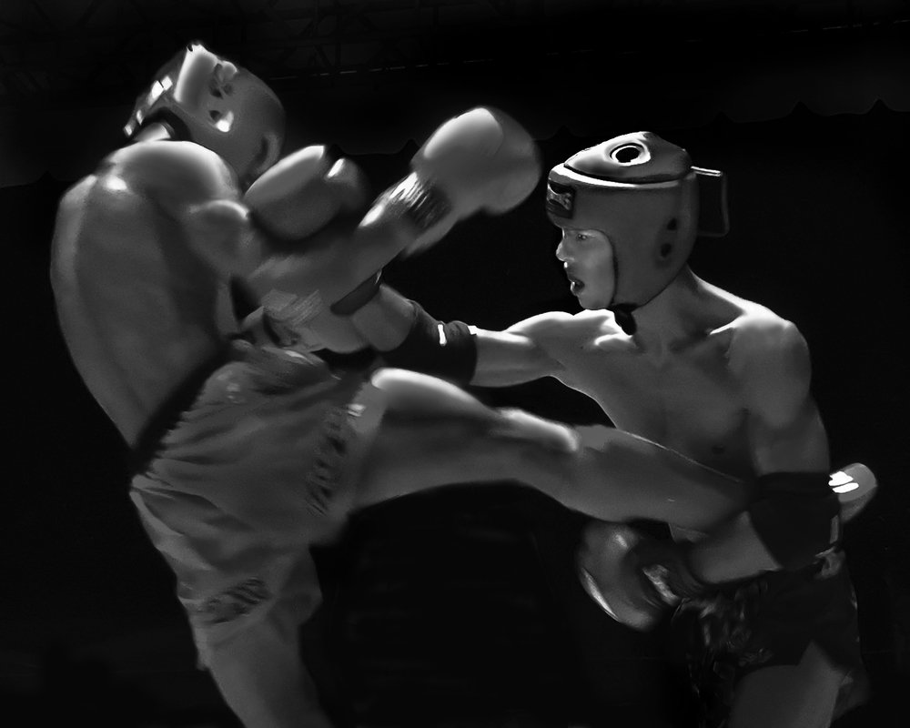 Фотография автора MINH GIẢNG PHẠM