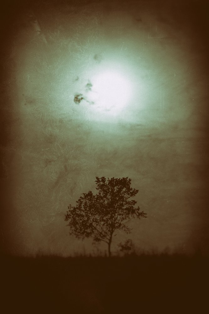 Photograph by Александр Малютин